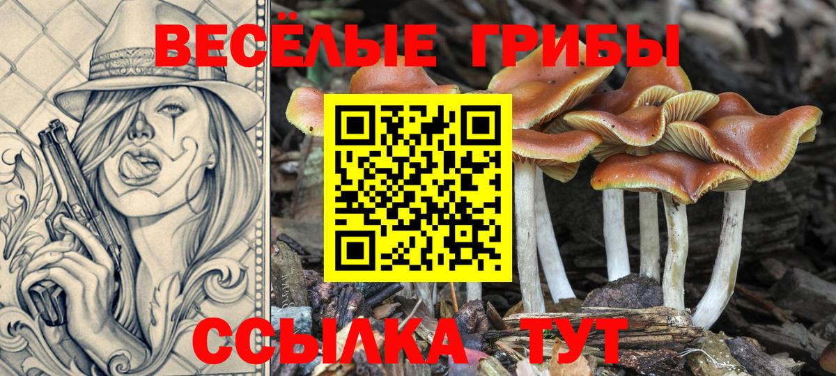 Галлюциногенные грибы Psilocybine cubensis Кушва