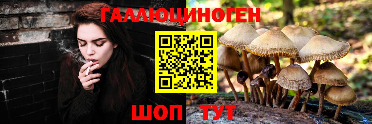 Галлюциногенные грибы Psilocybe  Вход с VPN  Кушва 